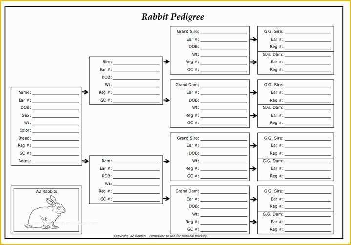 Free Rabbit Pedigree Template Of Rabbit Pedigree Blank Chart Rabbits 