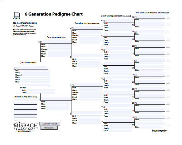 Generation Pedigree Chart Template Porn Sex Picture