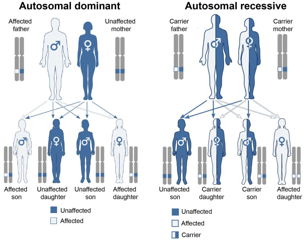 Genetics Of PD The Science Of Parkinson 39 s