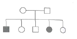 Given Pedigree Chart Depicts The Inheritance Of Attached Ear lobes An