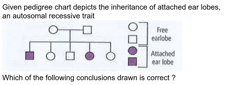 Given Pedigree Chart Depicts The Inheritance Of Attached Ear lobes