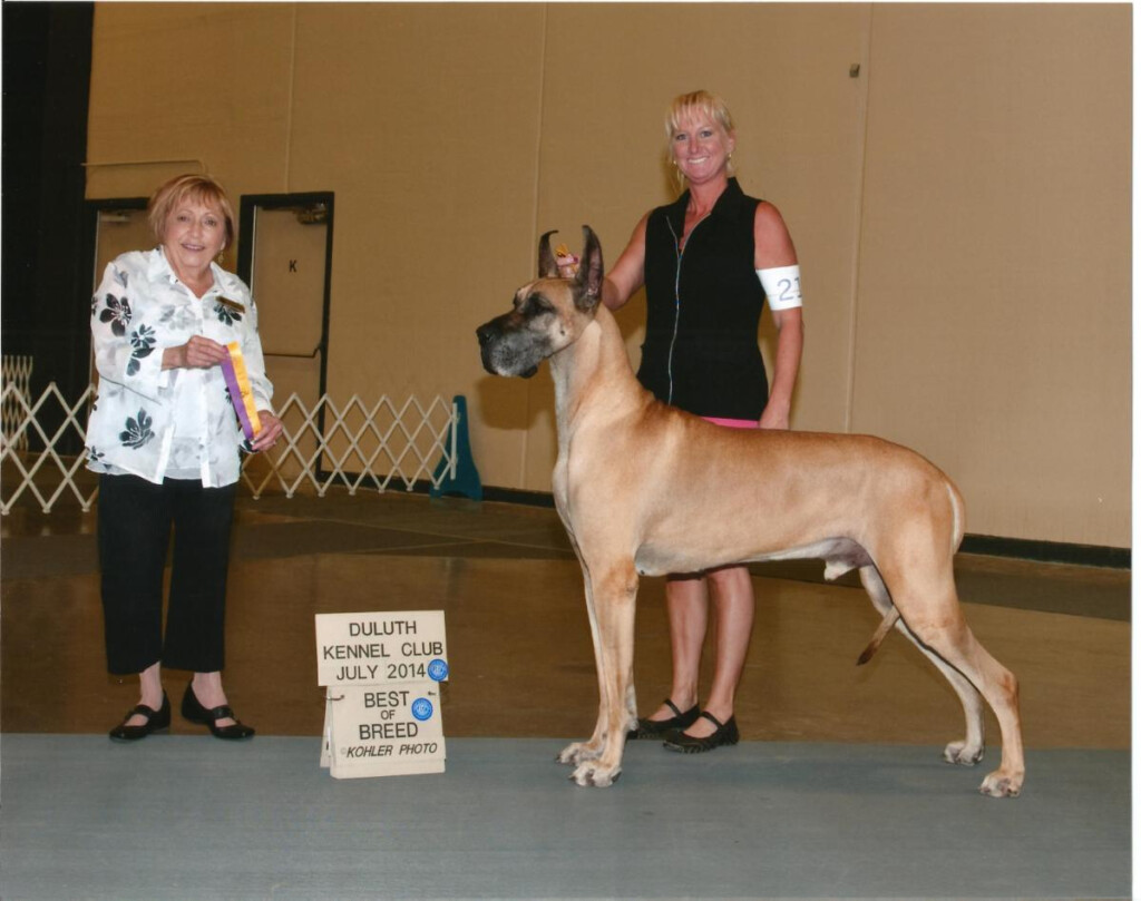 Great Dane