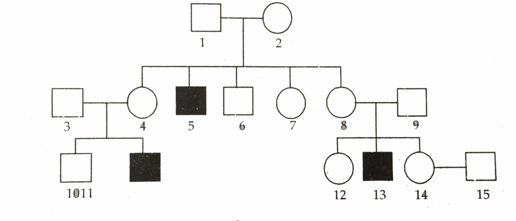 Haemophilia Is A Sex Linked Recessive Disorder Of Humans The Pedigree 