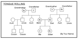 Helmstetler Biology Personal Pedigree