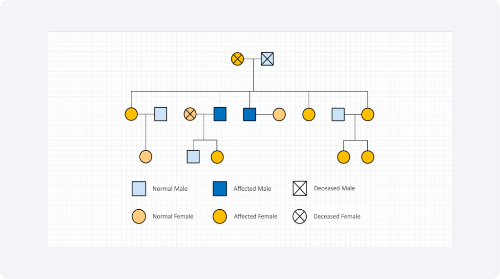 Hemophilia Pedigree Chart