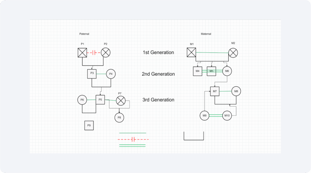 Hemophilia Pedigree Chart