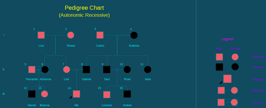 Hitchhiker Thumb Pedigree Chart vpd Visual Paradigm User Contributed 
