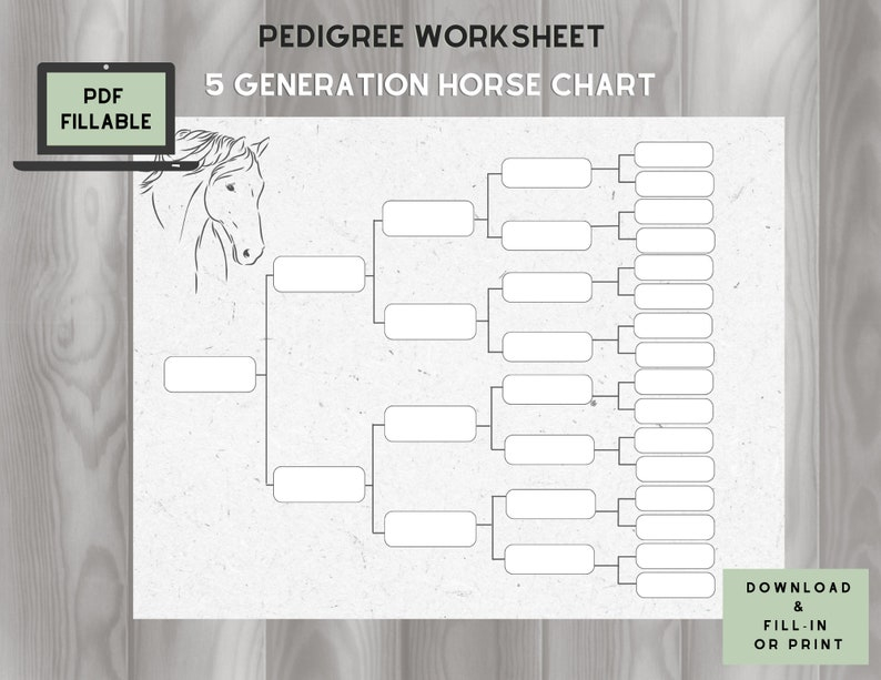 Horse Pedigree Chart 5 Generations On One Page Fillable PDF Etsy