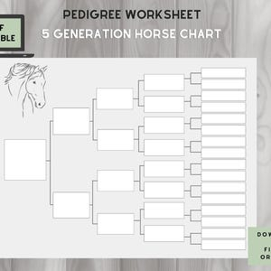 Horse Pedigree Chart 5 Generations On One Page Fillable PDF Etsy
