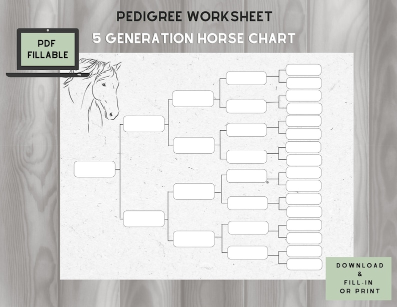 Horse Pedigree Chart 5 Generations On One Page Fillable PDF Etsy