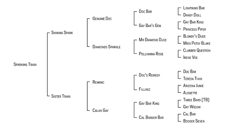Horse Pedigree Chart A Visual Reference Of Charts Chart Master