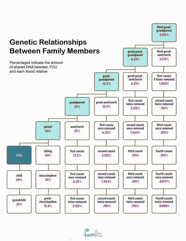 How Much DNA Do Family Members Share With Cousin Relationship Chart 