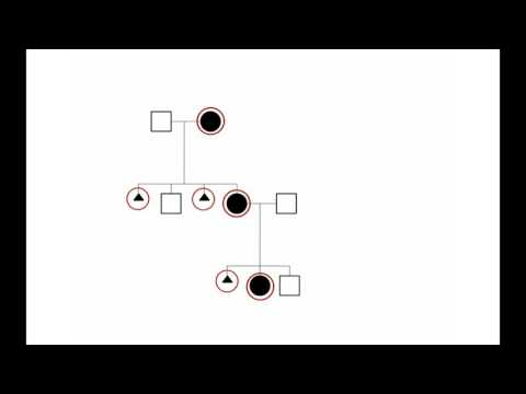 How To Compress Misbach 6 Generation Pedigree Chart