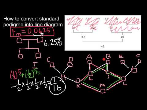 How To Convert Misbach 6 Generation Pedigree Chart