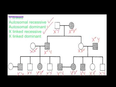How To Fill In Misbach 6 Generation Pedigree Chart