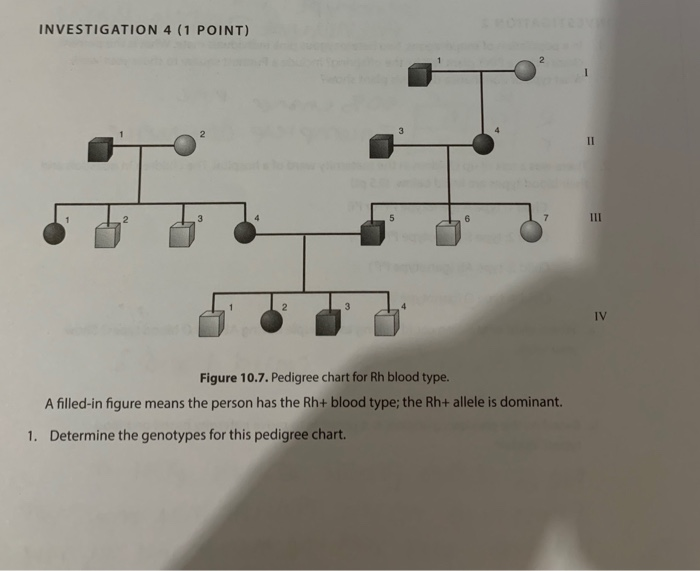 How To Fill Out Pedigree Chart Best Picture Of Chart Anyimage Org