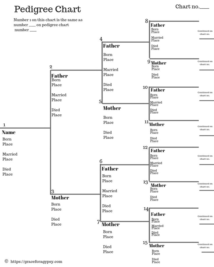 How To Fill Out Pedigree Chart Pedigree Chart Family Tree Chart 