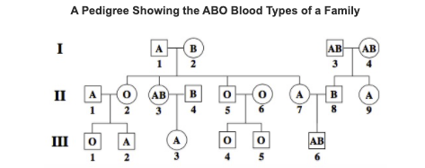 How To Make A Pedigree Chart For Blood Type Best Picture Of Chart 