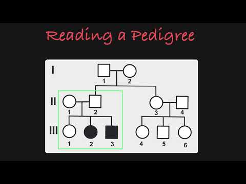 How To Password Protect Misbach 6 Generation Pedigree Chart