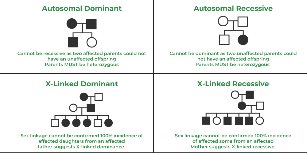 How To Read A Pedigree Chart Dominant Or Recessive Free Worksheets 