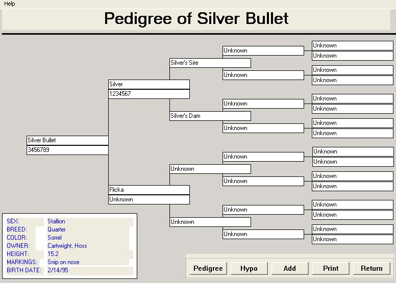 How To Read Horse Pedigree At Elizabeth Chow Blog