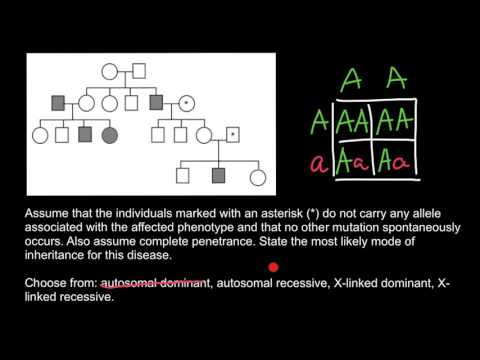 How To Rotate Misbach 6 Generation Pedigree Chart