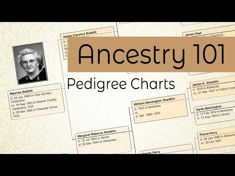 How To Write On Misbach 6 Generation Pedigree Chart
