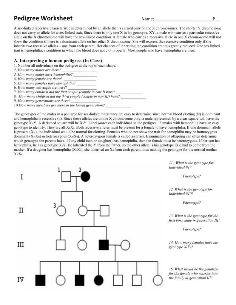Identify The Genotypes For This Pedigree Chart