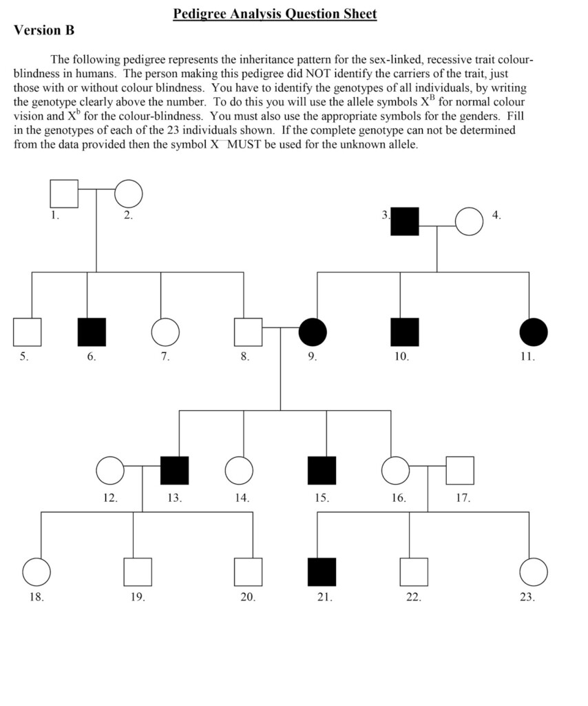 Introduction To Pedigrees Worksheet