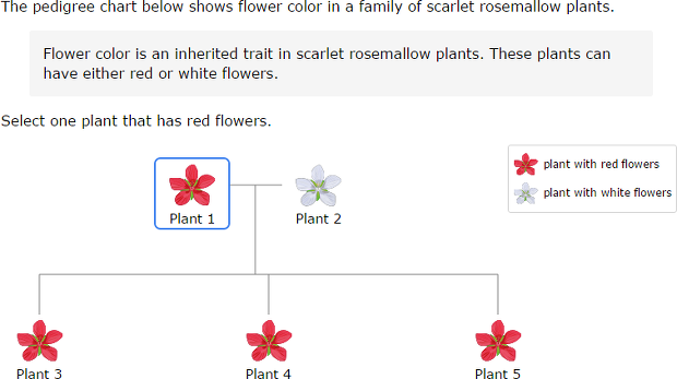 IXL Read A Plant Pedigree Chart 3rd Grade Science Practice 