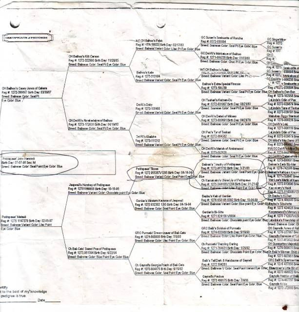 John Hancocks Family Tree 