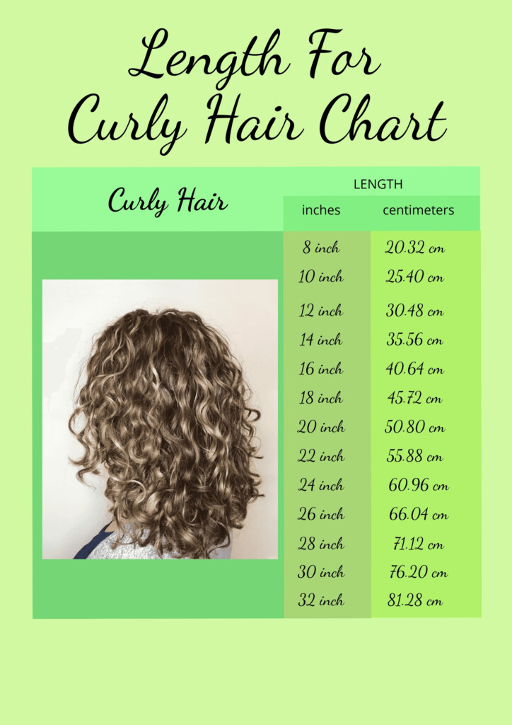 Kinky Curly Hair Type Chart In Illustrator Word PDF PSD Download 