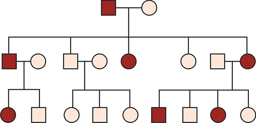 Klinefelter Syndrome Pedigree