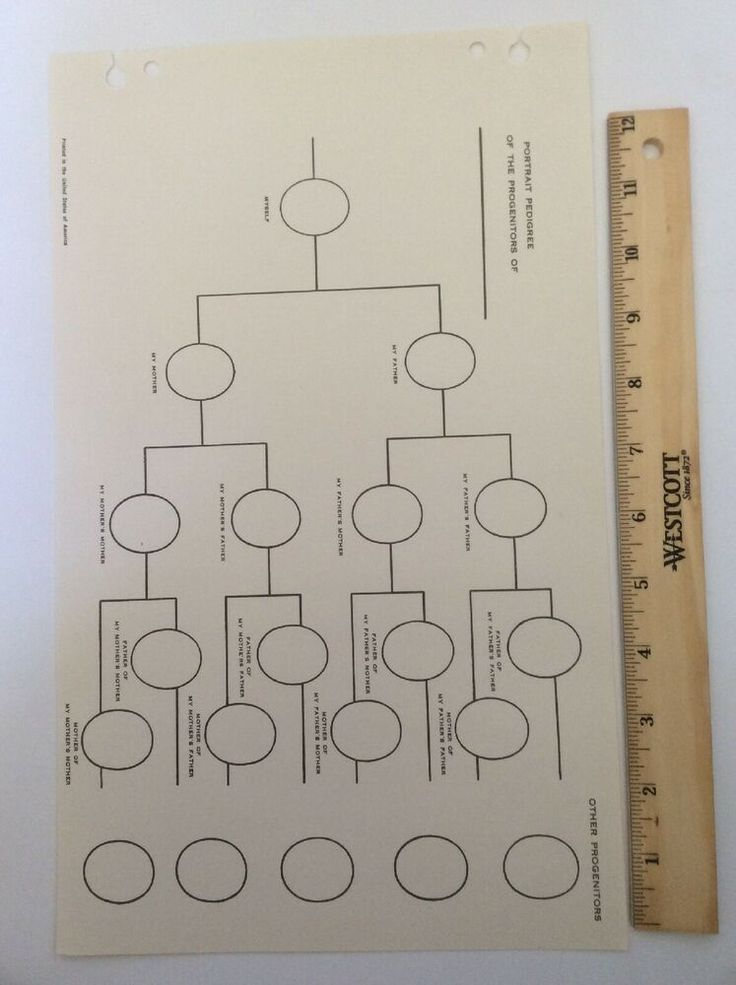 Lds Pedigree Chart