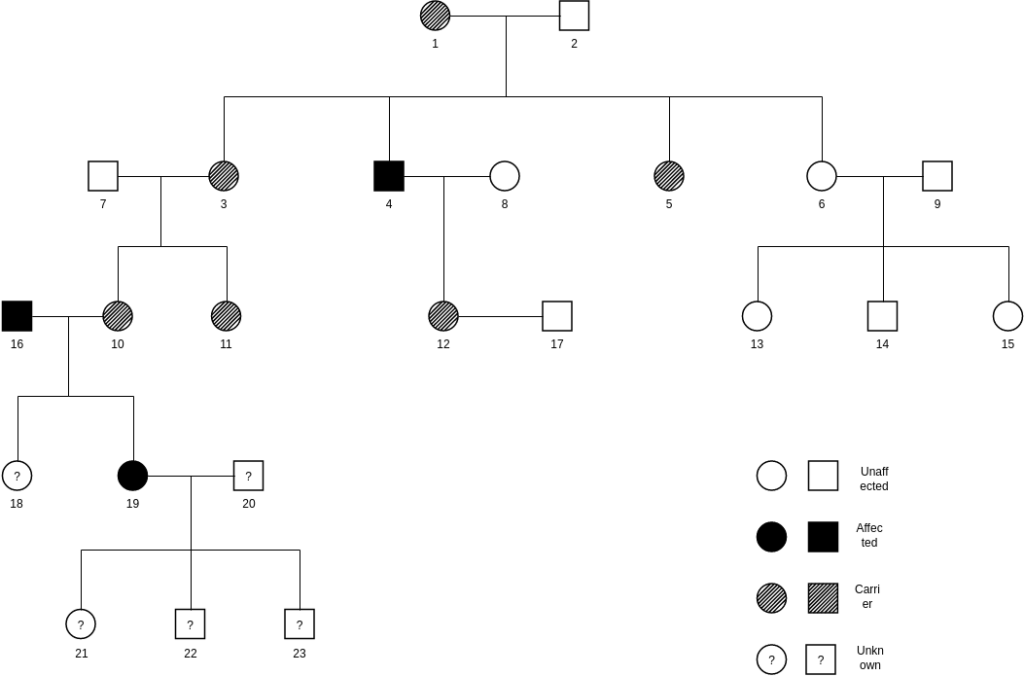 Linked Recessive Pedigree Chart Pedigree Chart Template