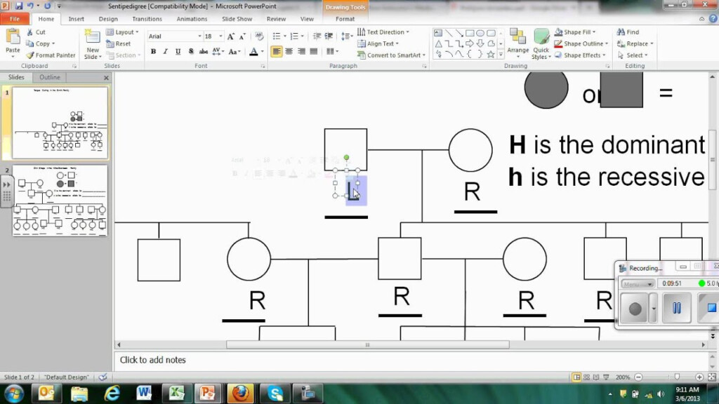 Make A Pedigree Chart On Computer Family Tree Chart