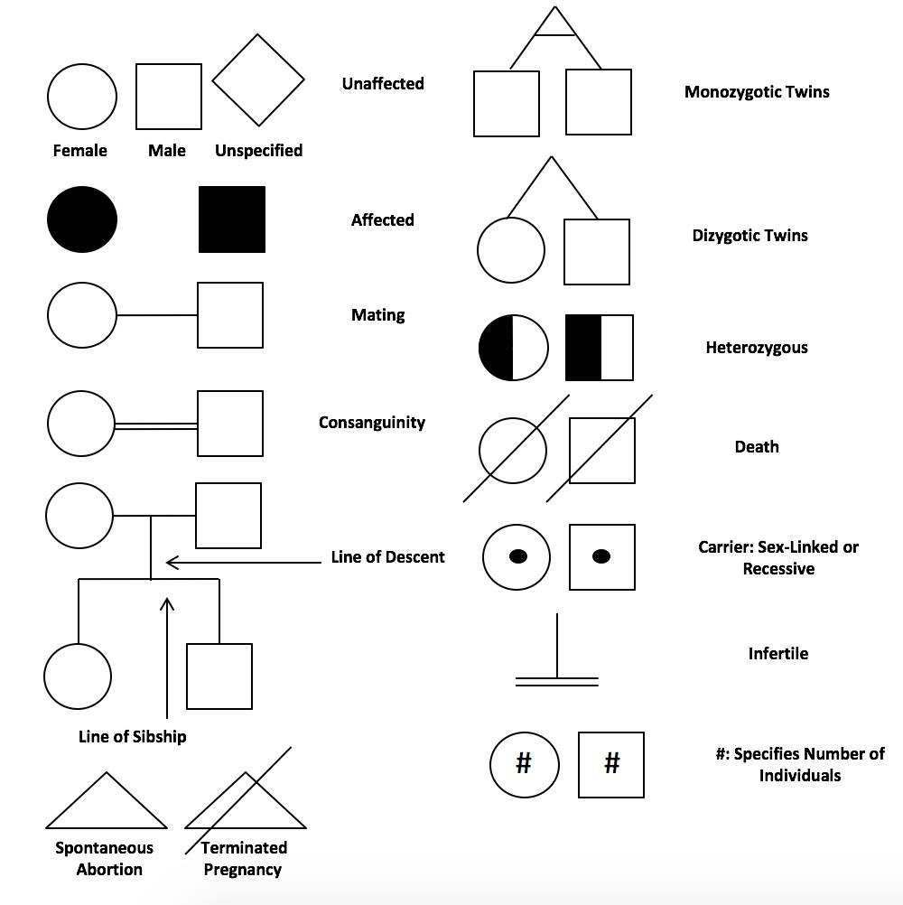 Modes Of Inheritance Biochemistry Medbullets Step 1