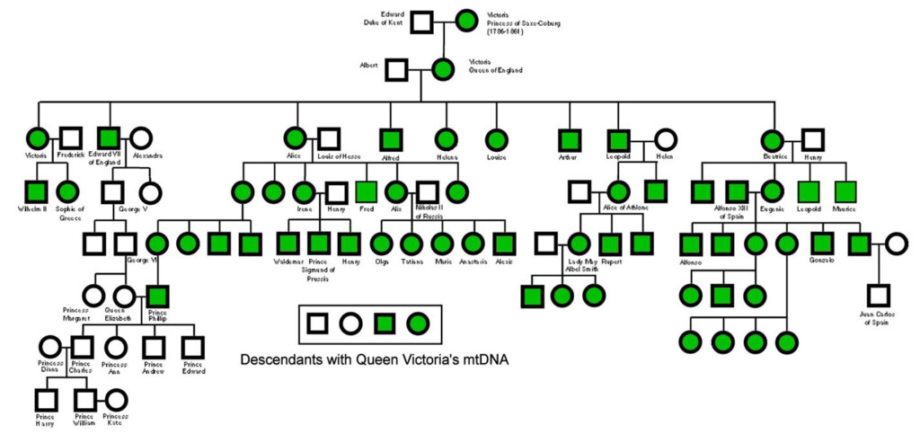 MtDNA In Descendants Of Queen Victoria