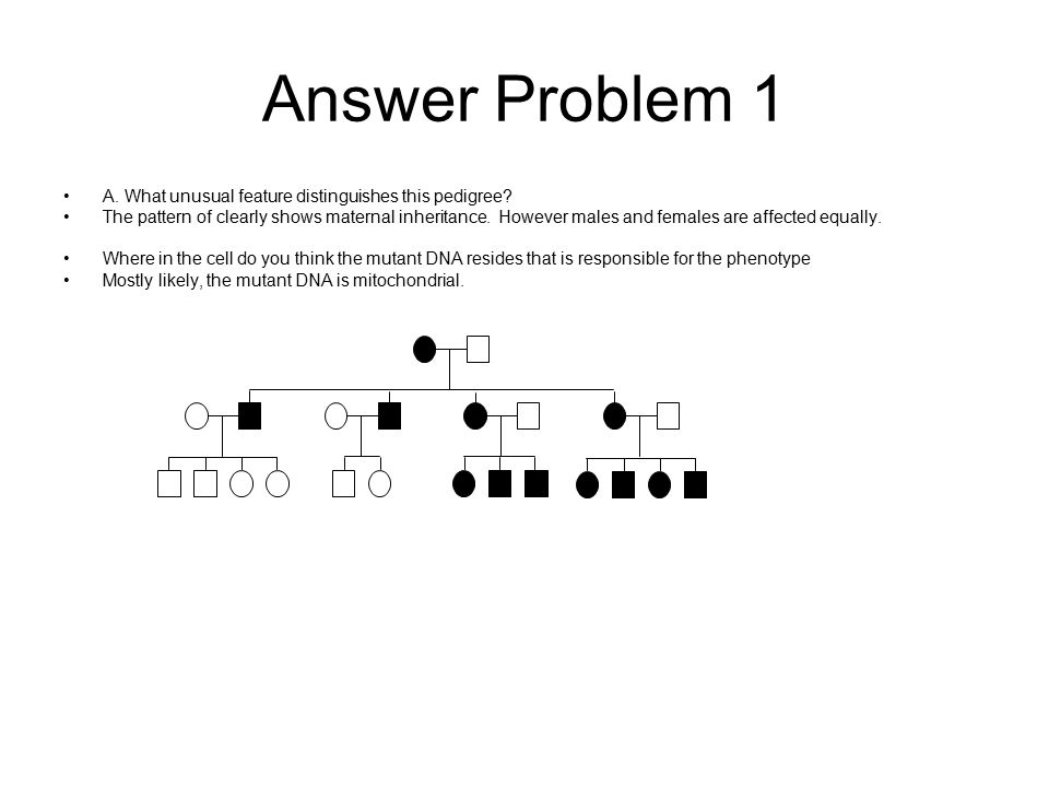 Muscular Dystrophy Pedigree Chart Answer Key Keski