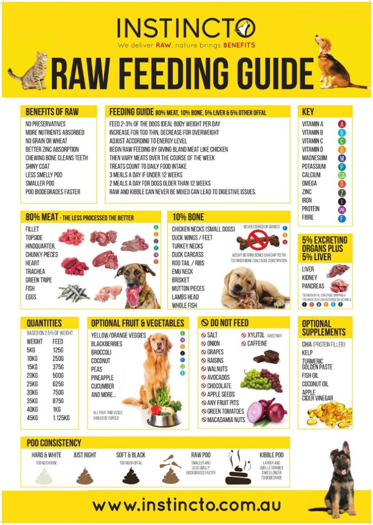 Nature 39 S Domain Puppy Food Feeding Chart