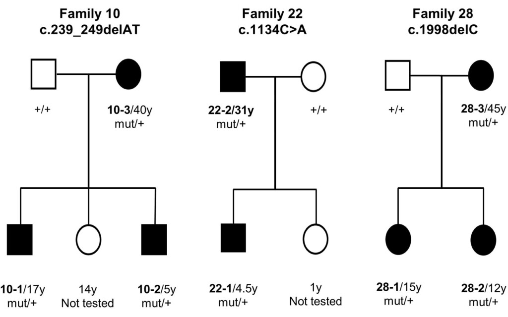 Newly Identified Genetic Mutation Results In Intellectual Disability 