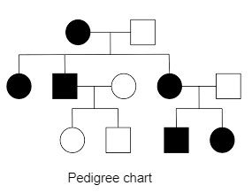 Notes On Prepared Pedigree Chart Of Genetic Traits