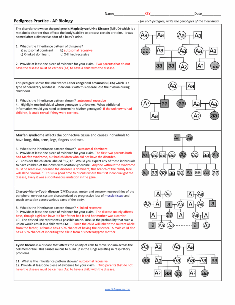 Pedigree Analysis APBiology KEY 1 Worksheets Library