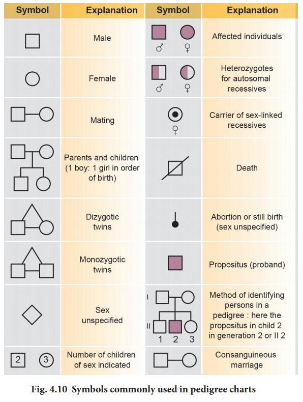 Pedigree Analysis Chart Definition Symbols Types Exam Vrogue co