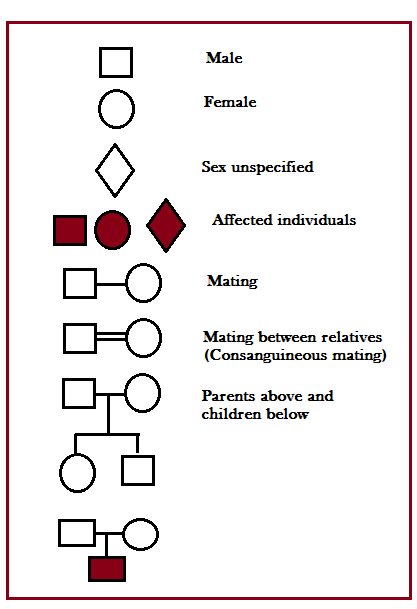 Pedigree Analysis Chart Definition Symbols Types Examples 43 OFF