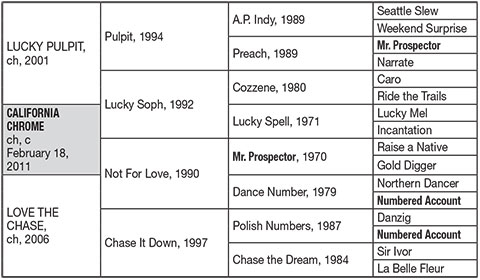 Pedigree Analysis Inbreeding Trends BloodHorse
