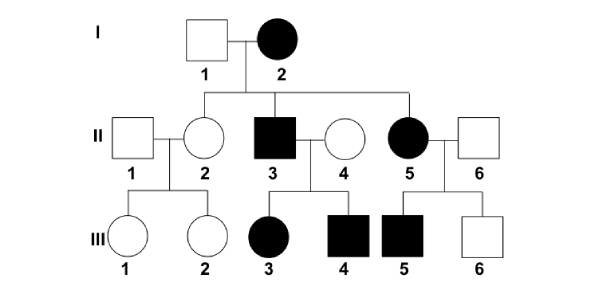 Pedigree Analysis Quiz Questions Examples And Answers Attempts 