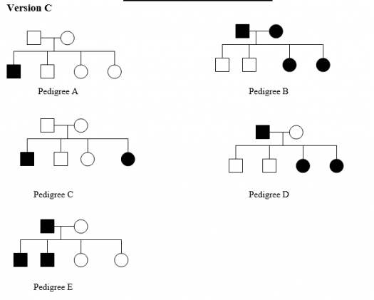 Pedigree Analysis Quiz Questions With Answers Trivia Questions