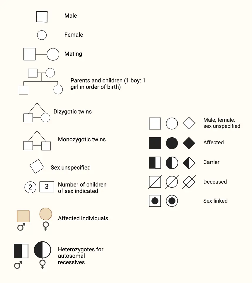 Pedigree Analysis Types Chart Symbols Methods Examples Biology 