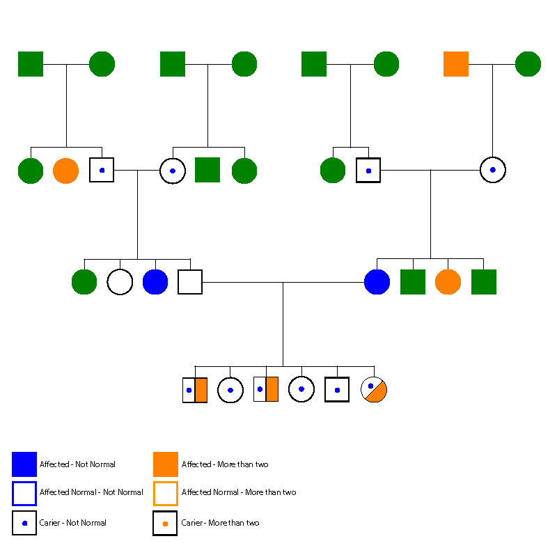 Pedigree Chart A Beginner S Guide Pedigree Chart Org Chart Chart The 